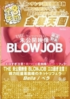 3-51033 THE 未公開映像 BLOWJOB エロ過ぎ注意！精力旺盛若奥様のネットリフェラ Bella ベラ